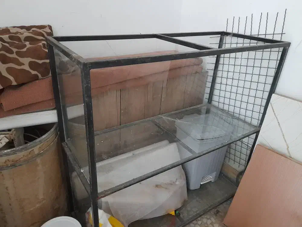 باکس قفسه و ویترین|فروشگاه و مغازه|رشت, باهنر|دیوار