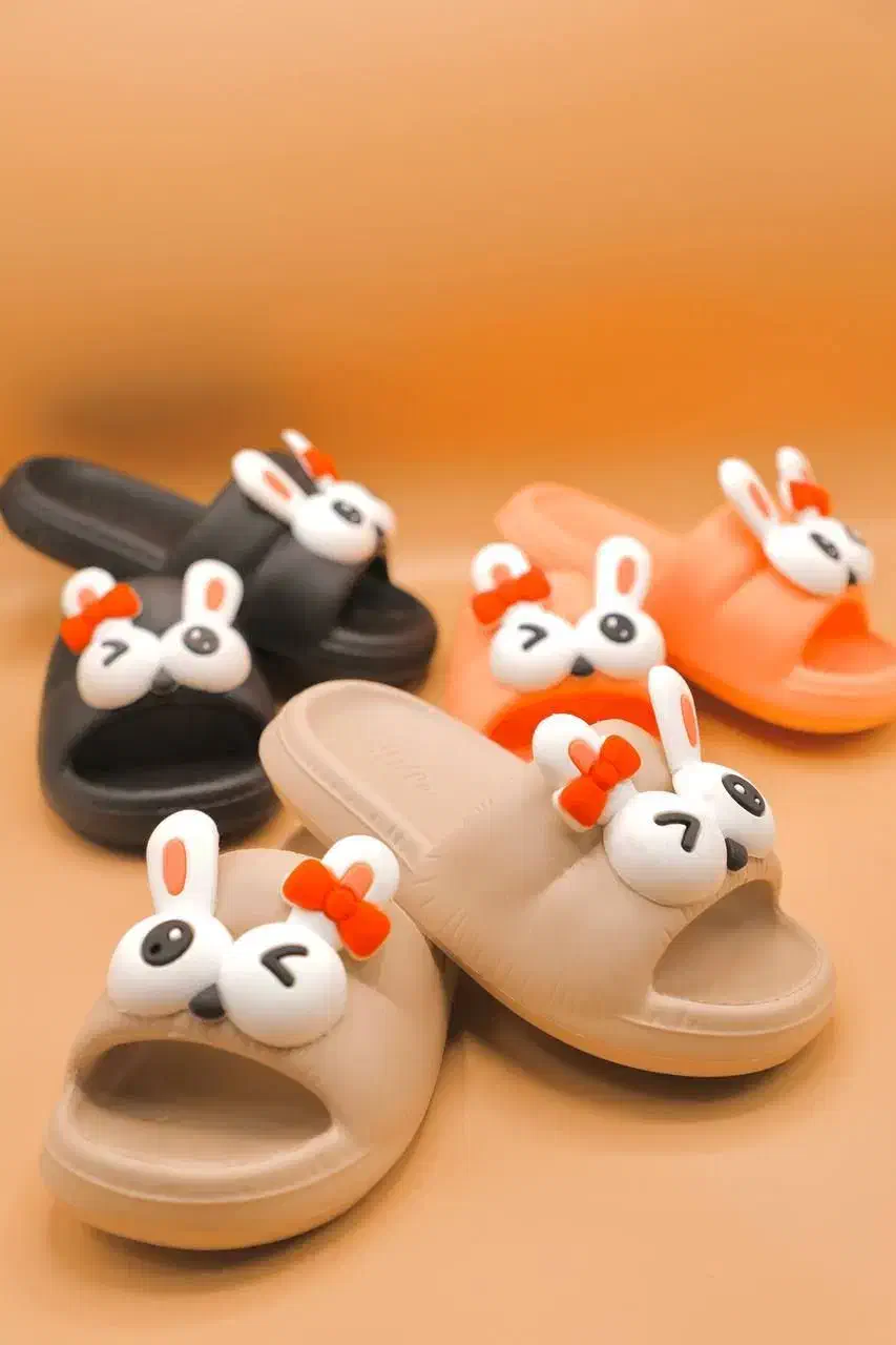 دمپایی|کیف، کفش، کمربند|سبزوار, امیریه|دیوار