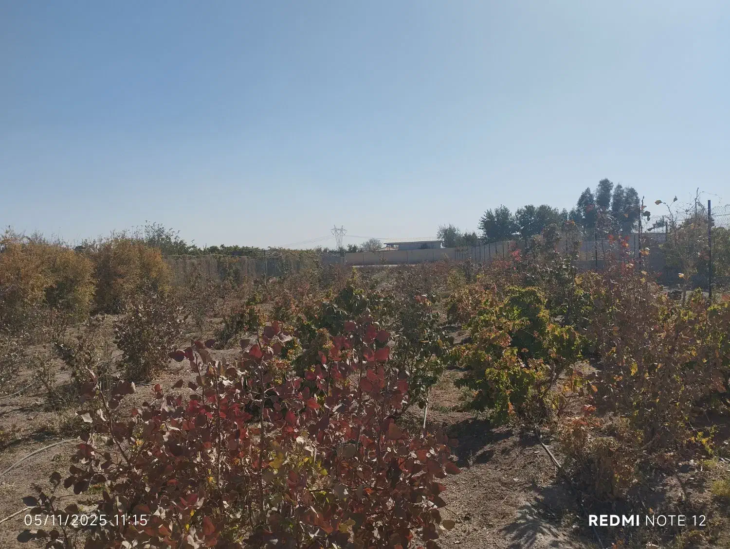 باغ|فروش خانه و ویلا|شاهین‌شهر, فرودگاه هسا|دیوار