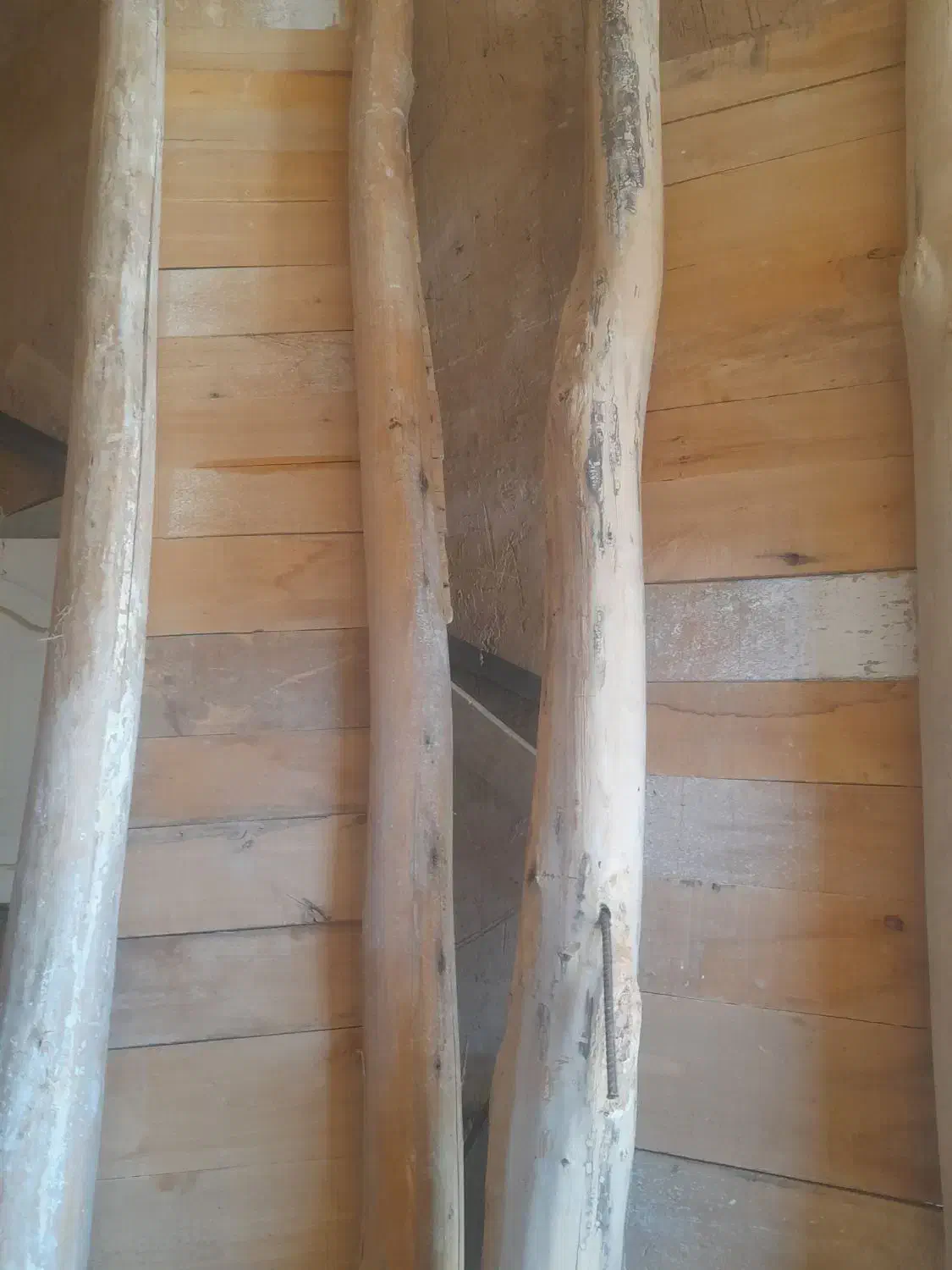 تخته کار نو|مصالح و تجهیزات ساختمان|نیشابور, گنبد سبز|دیوار