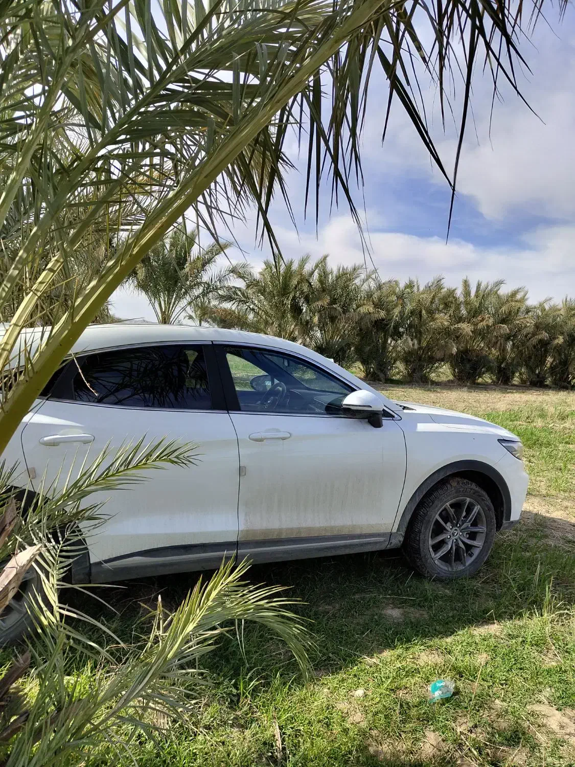 دیگنیتی مدل1404|خودرو سواری و وانت|ایوان, |دیوار