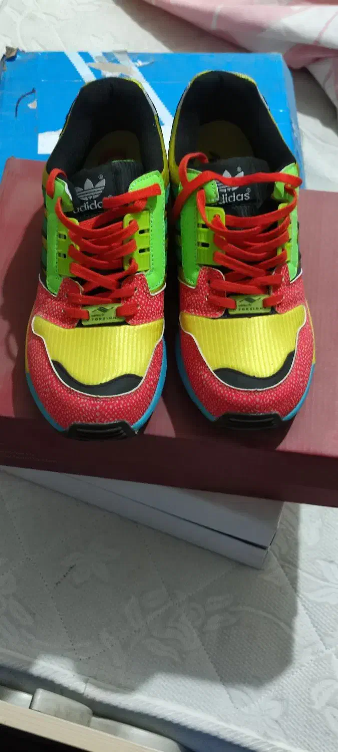 zxاتموس طوطی اکبند|کیف، کفش، کمربند|اسلامشهر, شهرک مفیدی|دیوار