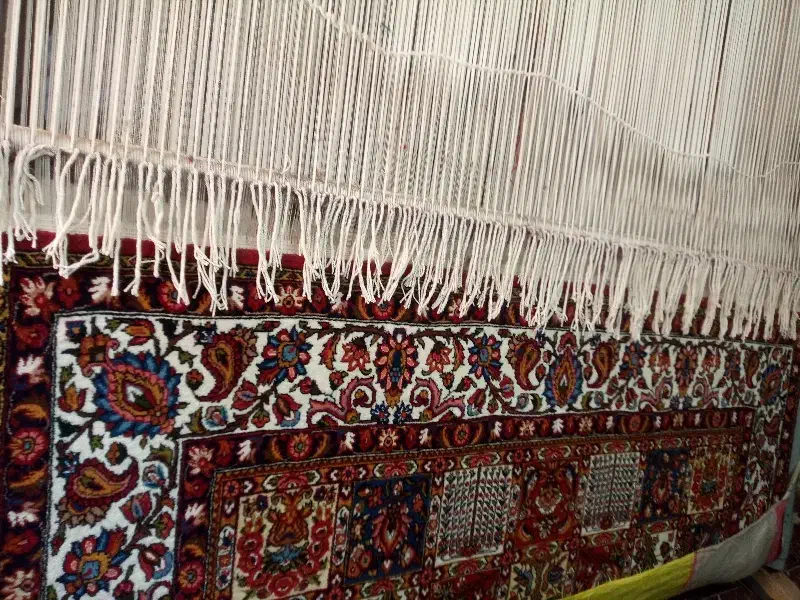 قالی دست باف 3/20*2/20|فرش|شهرکرد, |دیوار