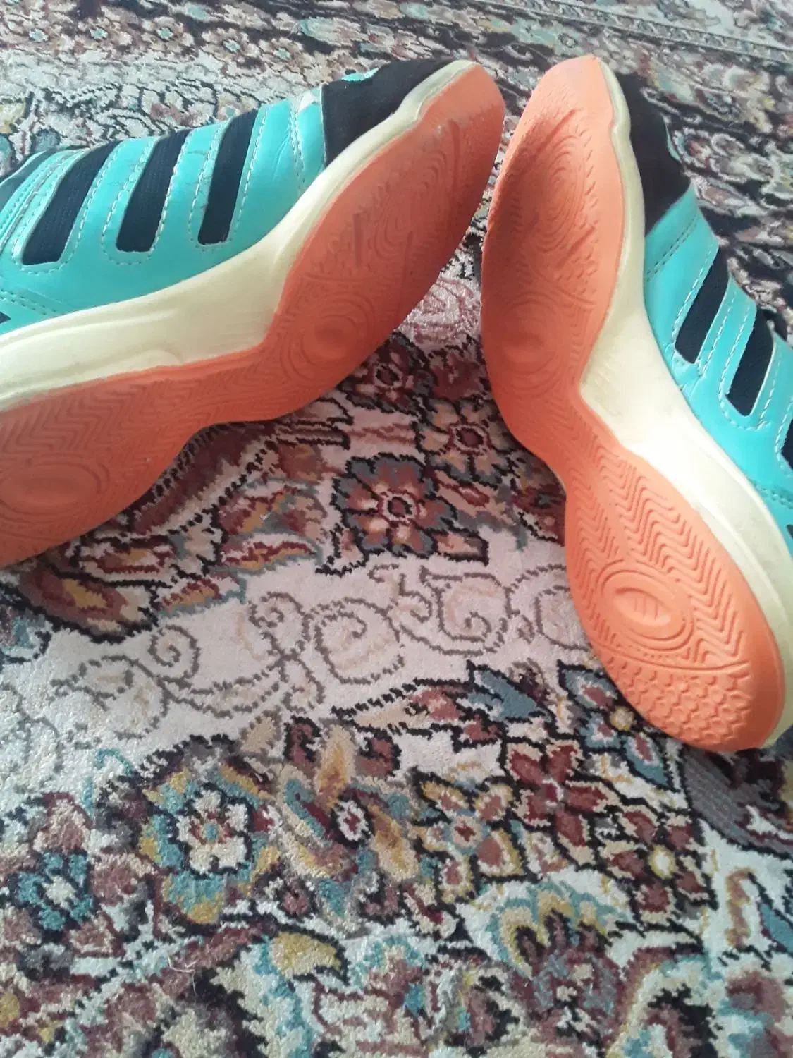 کفش سالن|ورزشهای توپی|کاشمر, |دیوار