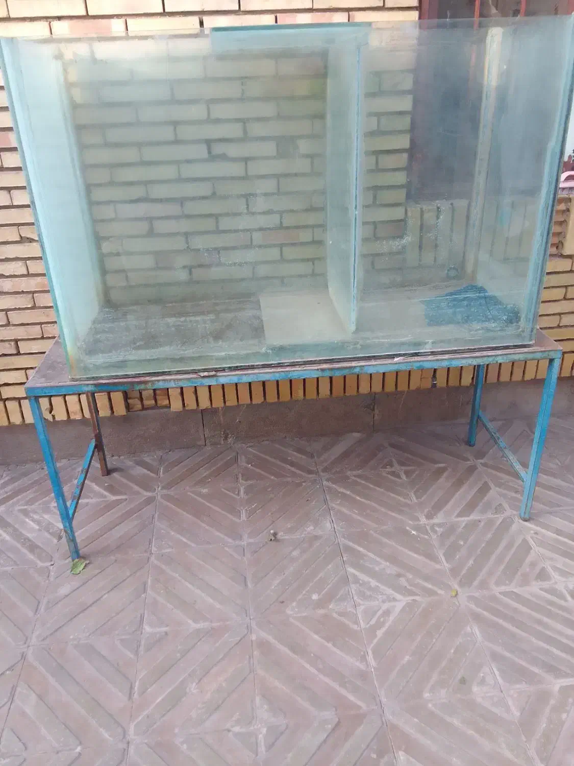 اکواریوم|ماهی|بم, |دیوار