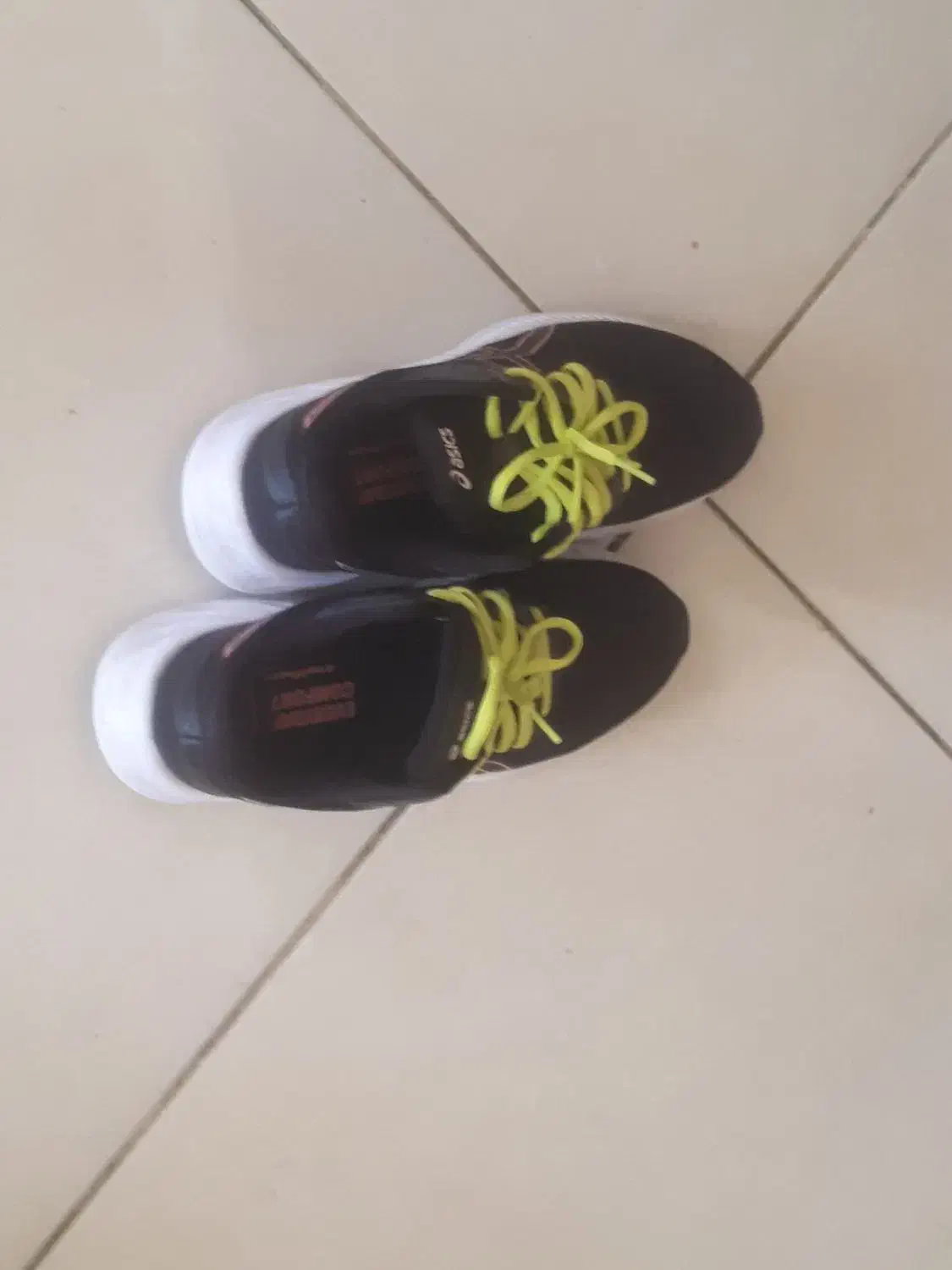 کفش ورزشی|کیف، کفش، کمربند|شیراز, شاه قلی بیگی|دیوار