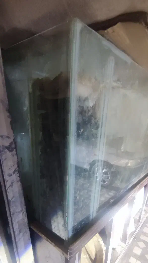 آکواریوم ۲۰۰×۶۰×۱۵۰|ماهی|خرمشهر, |دیوار