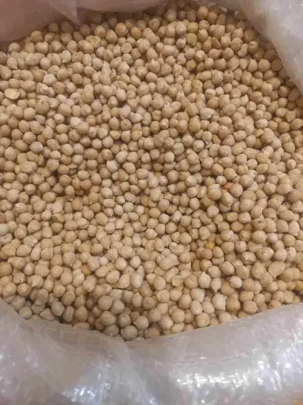 فروش نخود فارس.خوشپخت وخوشمزه مخصوص خانوار وفلافلی|خوردنی و آشامیدنی|یزد, |دیوار