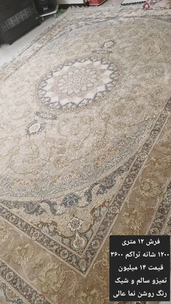 فرش ۱۲ متری|فرش|جم, |دیوار