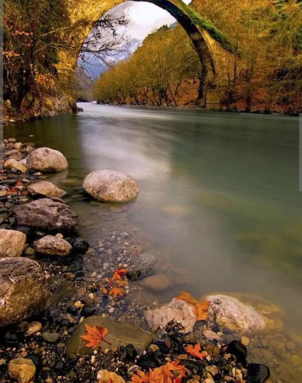 فروش زمین کشاورزی|فروش زمین و ملک کلنگی|شاهین دژ, |دیوار