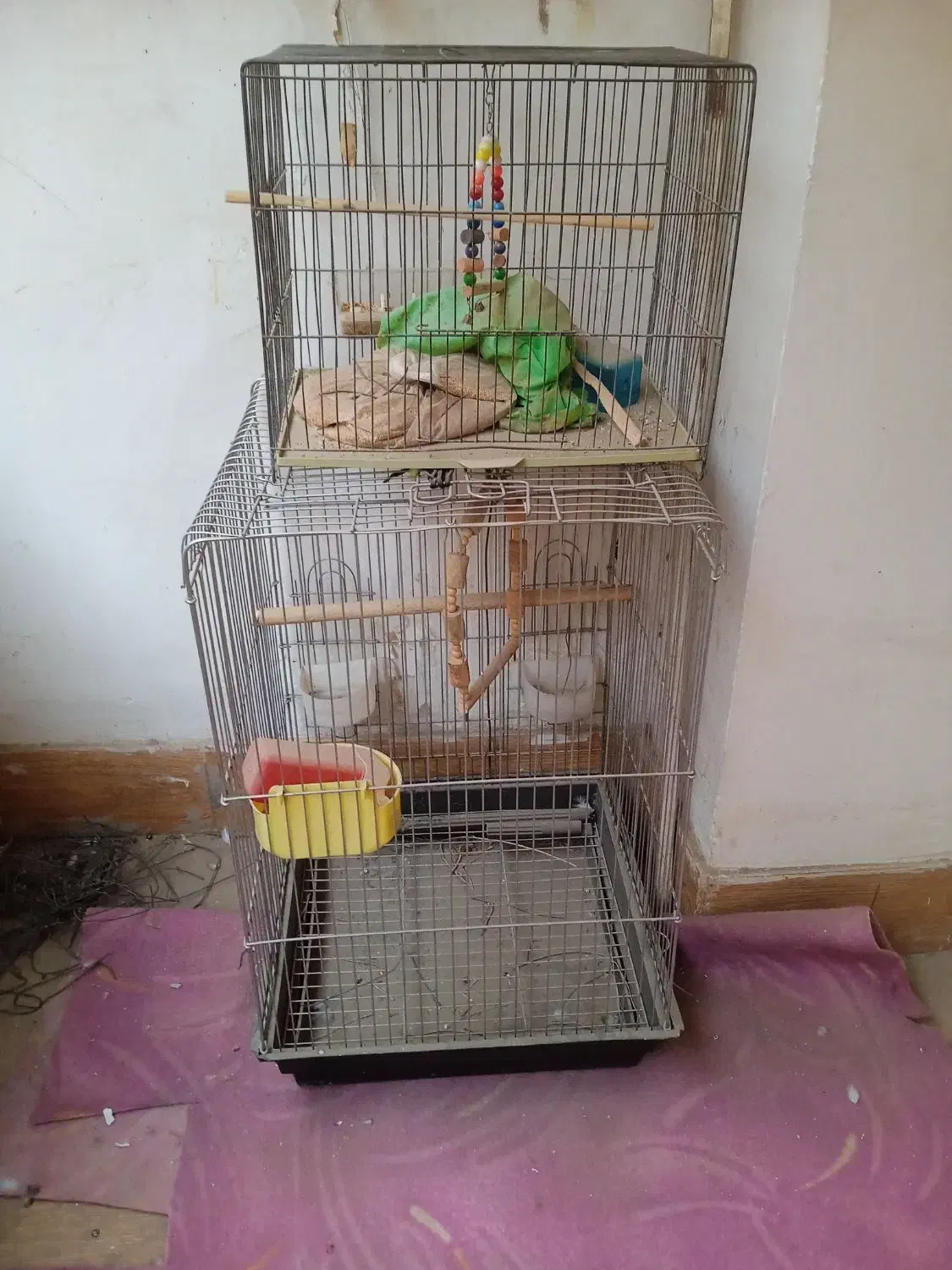 قفس بزرگ و کوچک|لوازم جانبی حیوانات|پاکدشت, پاکدشت (مامازند)|دیوار