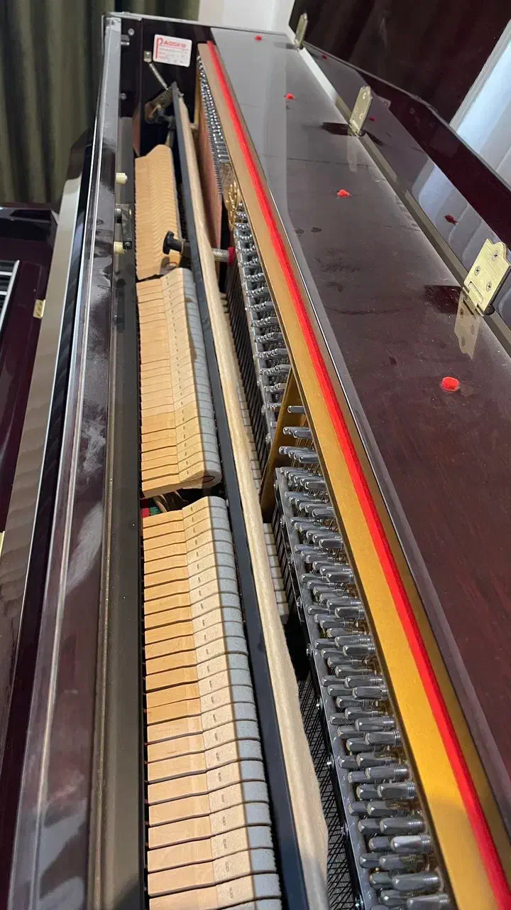 فروش ۲عدد پیانو درجه ۱|پیانو، کیبورد، آکاردئون|تهران, فلسطین (میدان انقلاب)|دیوار