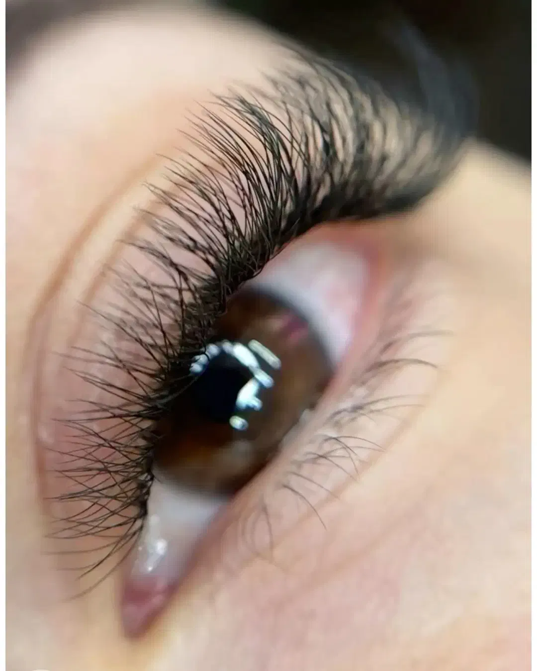 اکستنشن و لیفت مژه و ابرو|خدمات آرایشگری و زیبایی|ساری, |دیوار