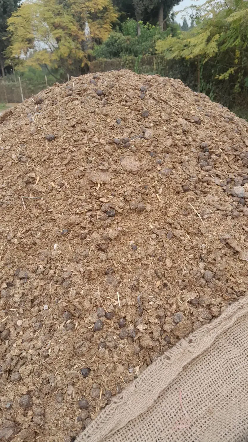 کود حیوانی|گل و گیاه طبیعی|سنگدوین, |دیوار