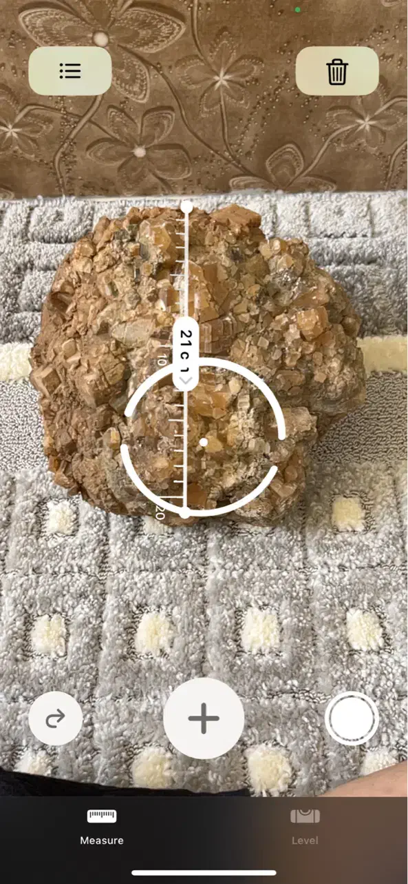 سنگ سلستین بژ قهوه ای|ماهی|دالاهو, |دیوار