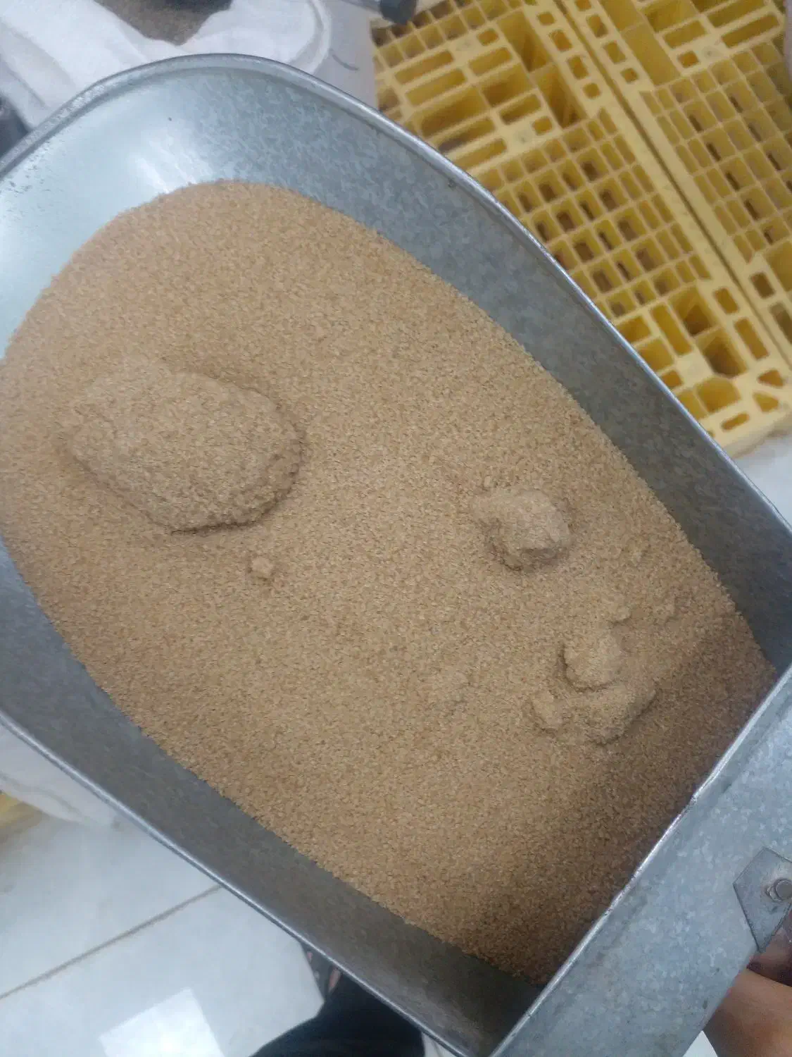 قندوشکرونبات قهوه ای|خوردنی و آشامیدنی|قم, حنیف نژاد|دیوار