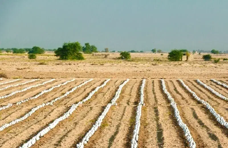زمین دشت محمدیه|فروش زمین و ملک کلنگی|آران و بیدگل, |دیوار