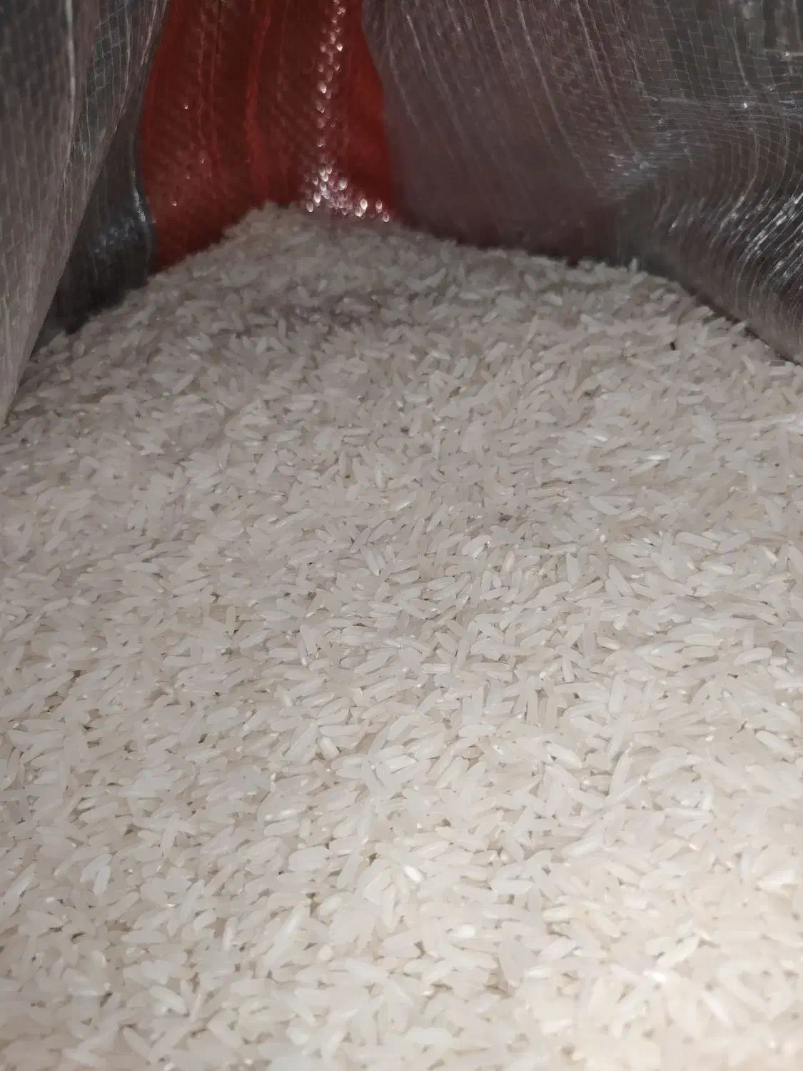 برنج هومالی، تایلندی، اروگوای، آمرکایی|عمده‌فروشی|مریوان, |دیوار