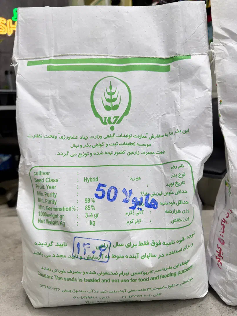 بذر کلزا تاریخ ۱۴۰۴ شهید رجایی|عمده‌فروشی|بیله سوار, |دیوار