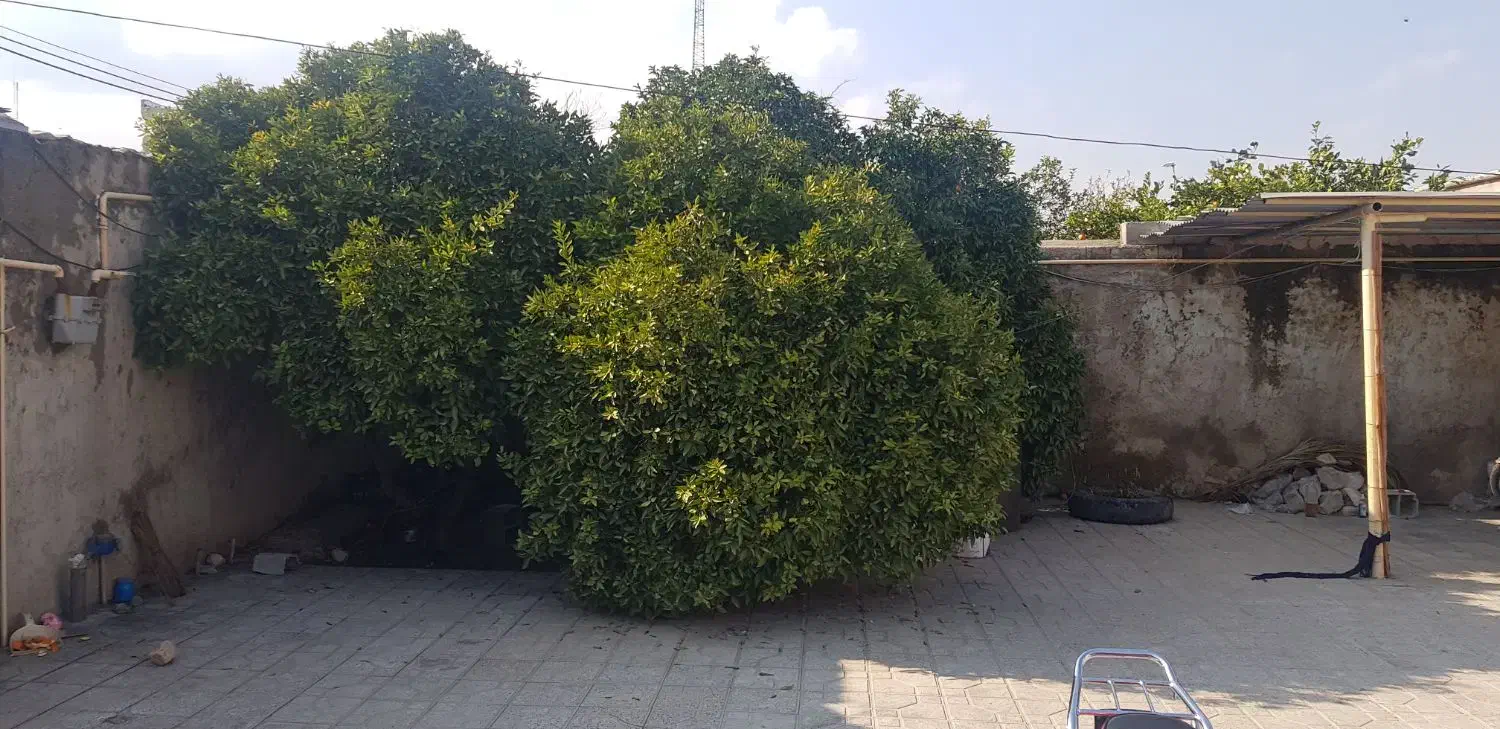فروش منزل ۴۰۰متر خیابان اموزش پرورش فرعی ۱|فروش خانه و ویلا|باشت, |دیوار