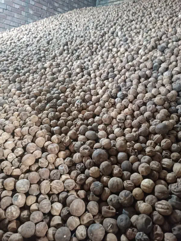 لیمو عمانی توصیه شده|عمدهفروشی|منوجان, |دیوار