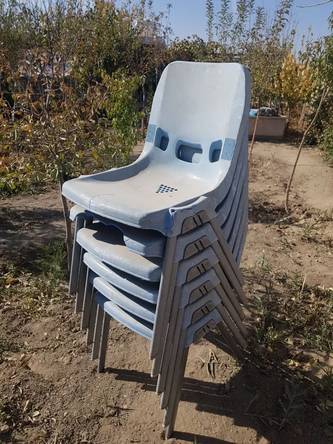 صندلی  گلیم فرش سالم ۹متری سالم|صندلی و نیمکت|همدان, |دیوار