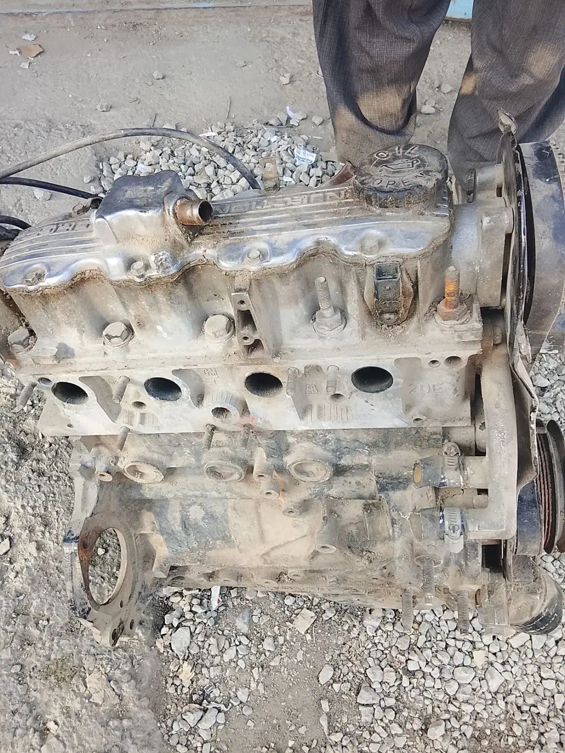 بزرگ اوراقی مادر برادران شلالوند|قطعات یدکی و لوازم جانبی|بروجرد, |دیوار