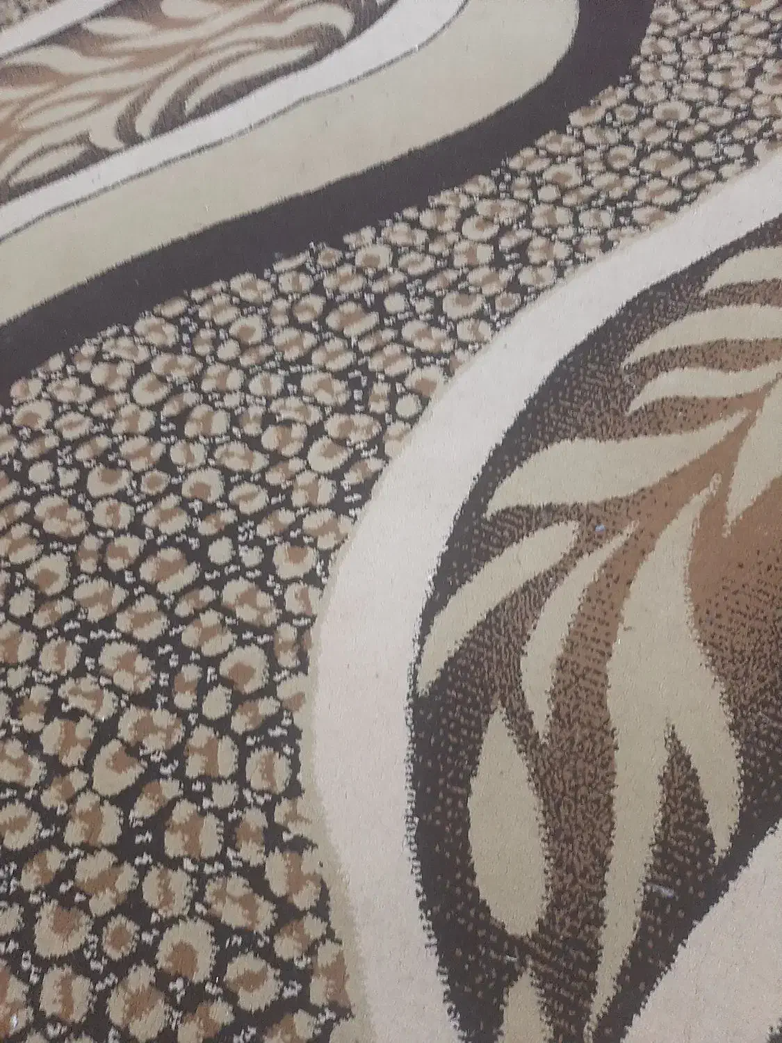 فرش|گلیم، جاجیم، گبه|زابل, |دیوار