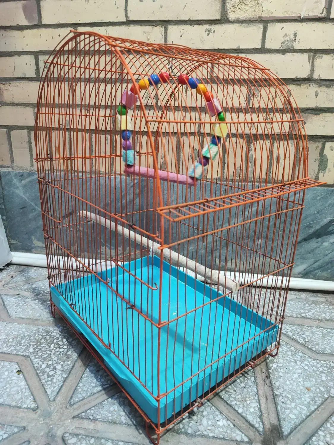 قفس پرنده|لوازم جانبی حیوانات|طبس, |دیوار