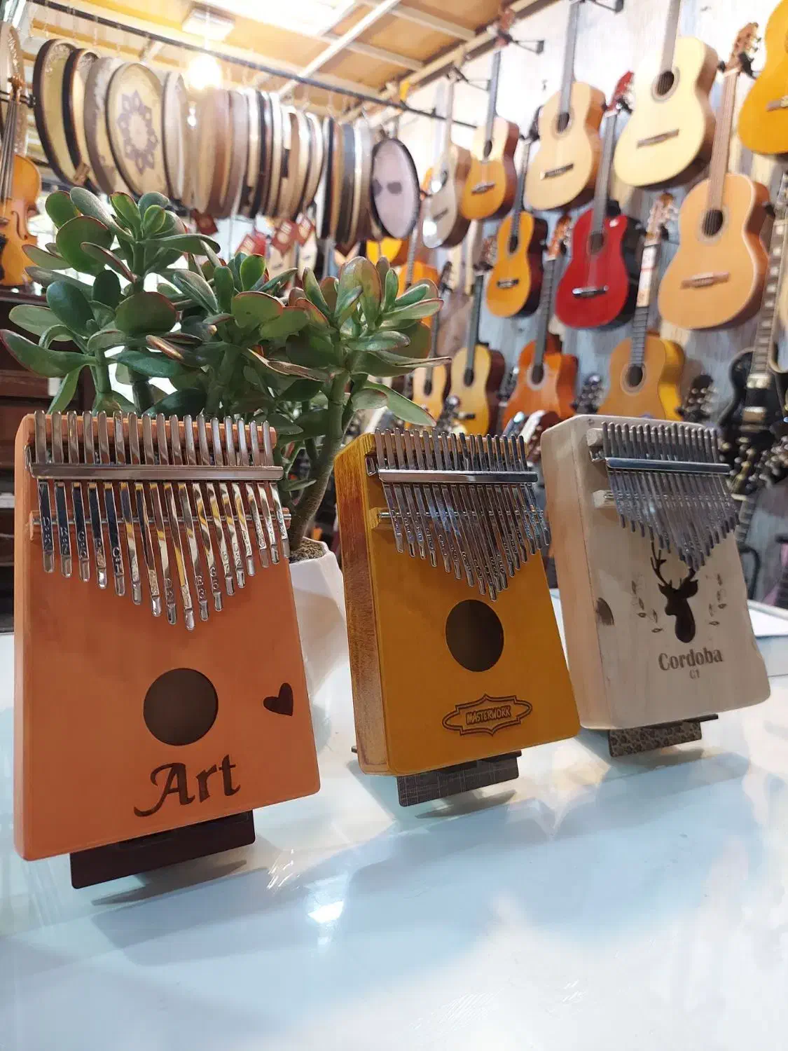 کالیمبا نوای دلنـشین،،|پیانو، کیبورد، آکاردئون|مشهد, ولیعصر (شهرک غرب)|دیوار