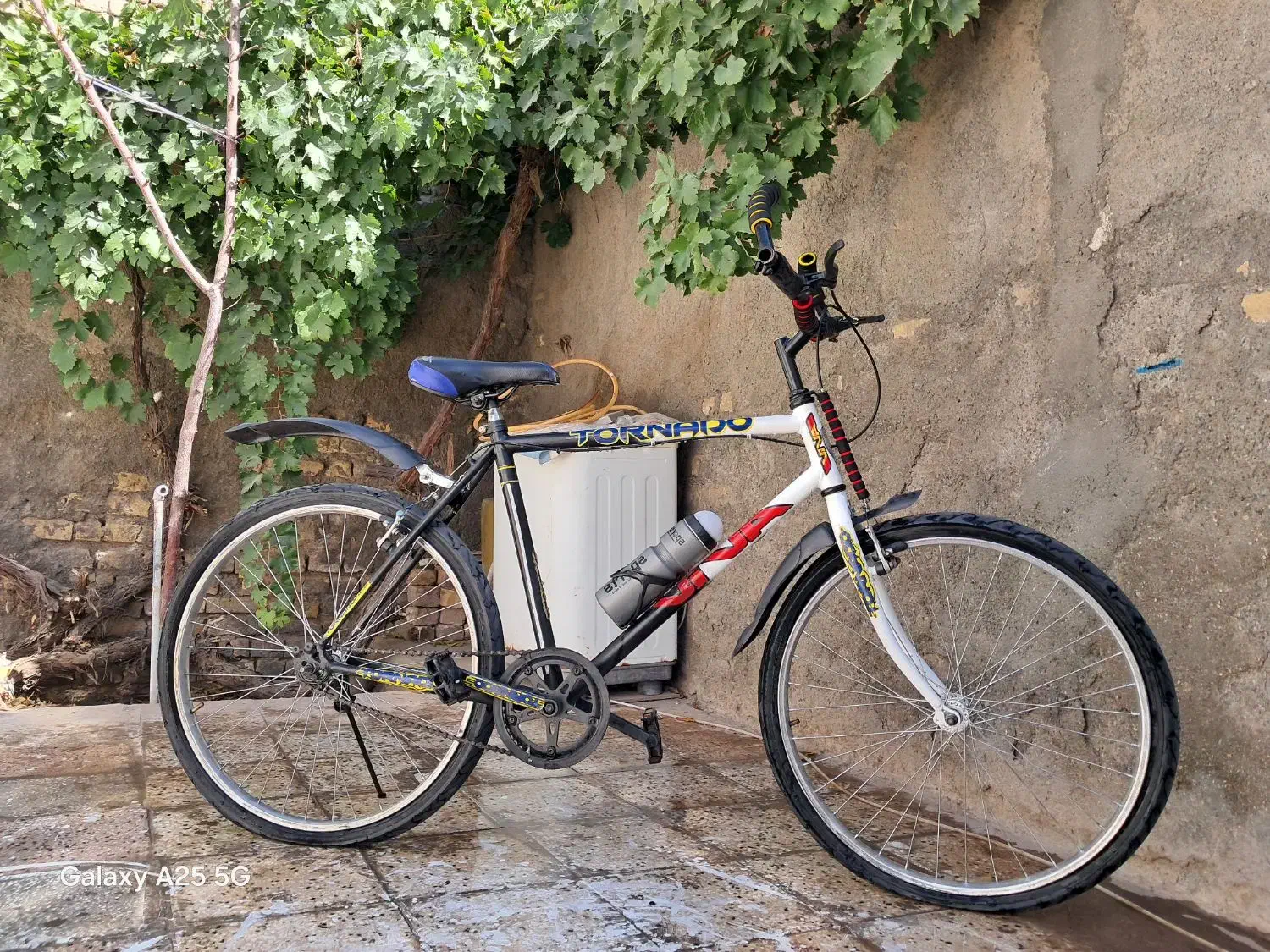 دوچرخه ۲۶|دوچرخه، اسکیت، اسکوتر|تربتحیدریه, سرمحله|دیوار