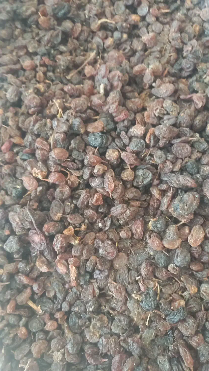 کشمش و مویز افتابی پاک شده|خوردنی و آشامیدنی|نجفآباد, منتظری جنوبی|دیوار