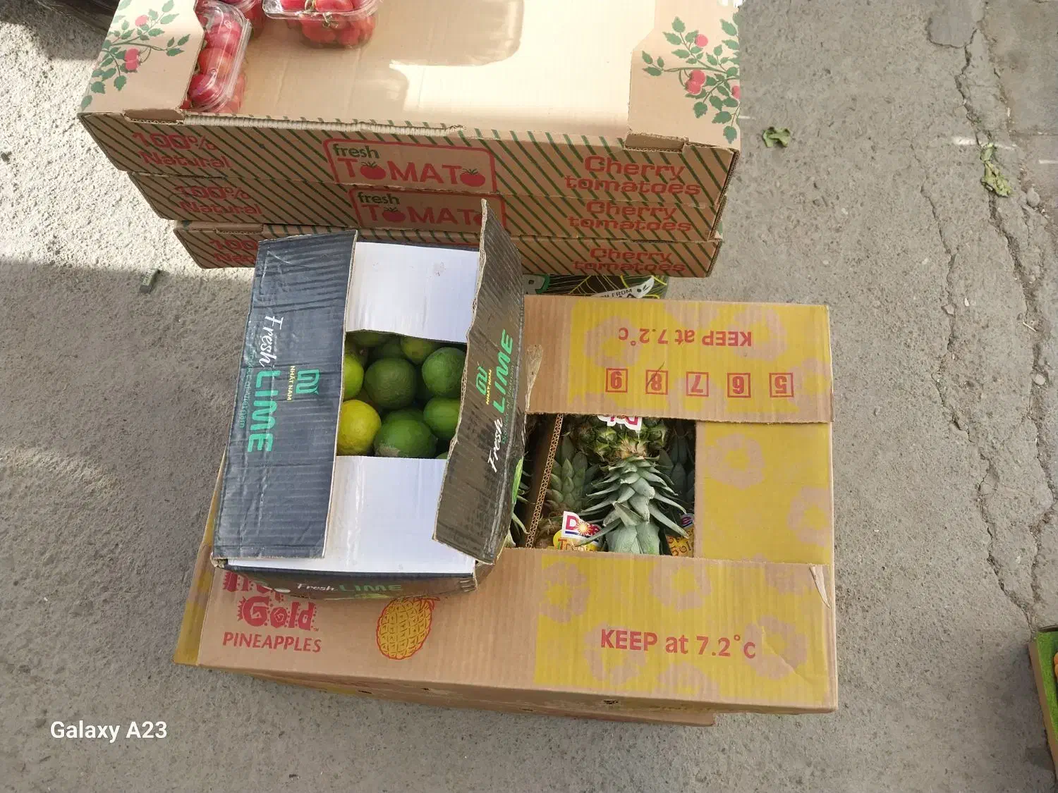 تامین میوه و تره بار ایرانی وخارجی درجه ۱|خوردنی و آشامیدنی|تهران, اوین|دیوار