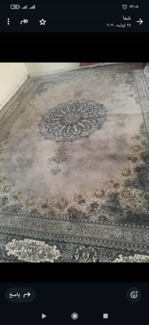 قالیباف ۷۰۰شانه|فرش|مرودشت, ژیان|دیوار