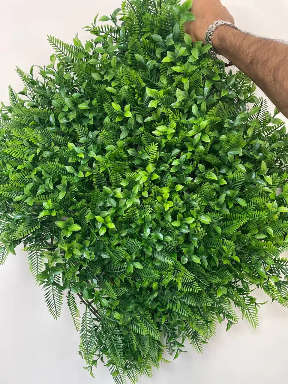 گرینوال خارجی و فنس دیواری برگی|گل مصنوعی|یزد, |دیوار