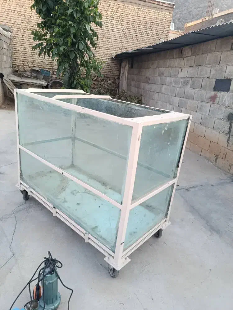 آکواریوم فروشی ۱۴ملیون با تخفیف|ماهی|لردگان, |دیوار