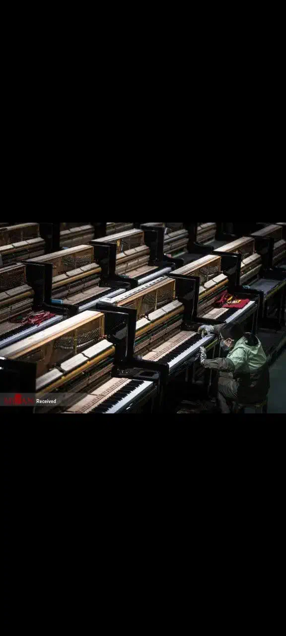 مـرکـز پیانو//توزیـع پیانو *»|پیانو، کیبورد، آکاردئون|شیراز, اصلاحنژاد|دیوار