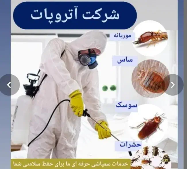 «سمپاشی»« موریانه زدایی ساس موش سوسک»|خدمات نظافت|آبادان, |دیوار