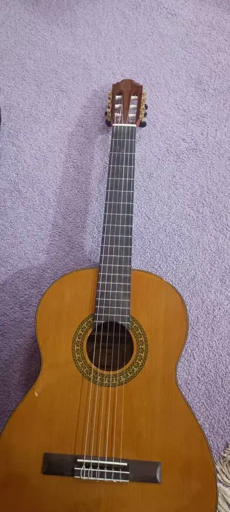 gitar chaard|گیتار، بیس، امپلیفایر|یاسوج, |دیوار