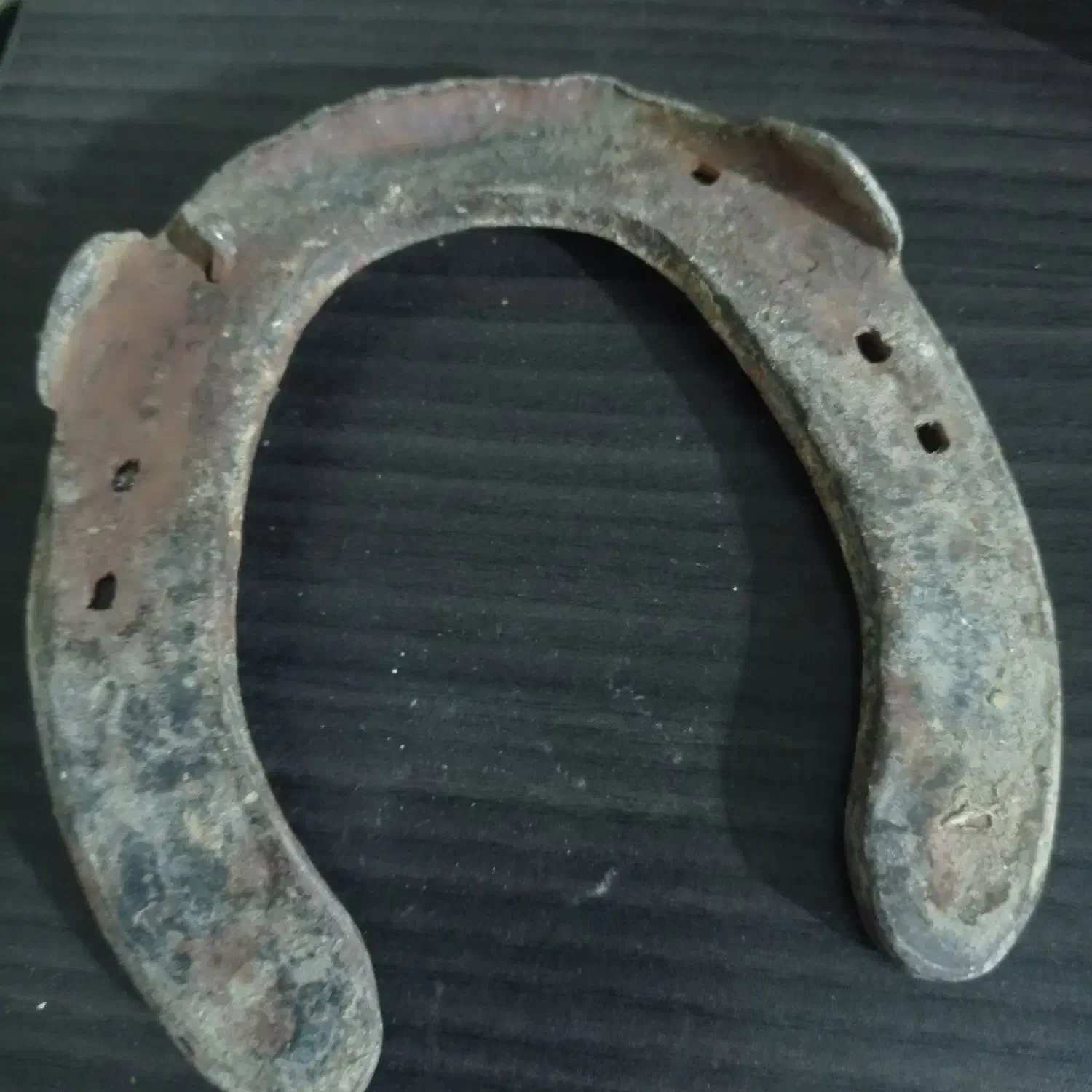 نعل اسب|کلکسیون اشیاء عتیقه|دورود, |دیوار