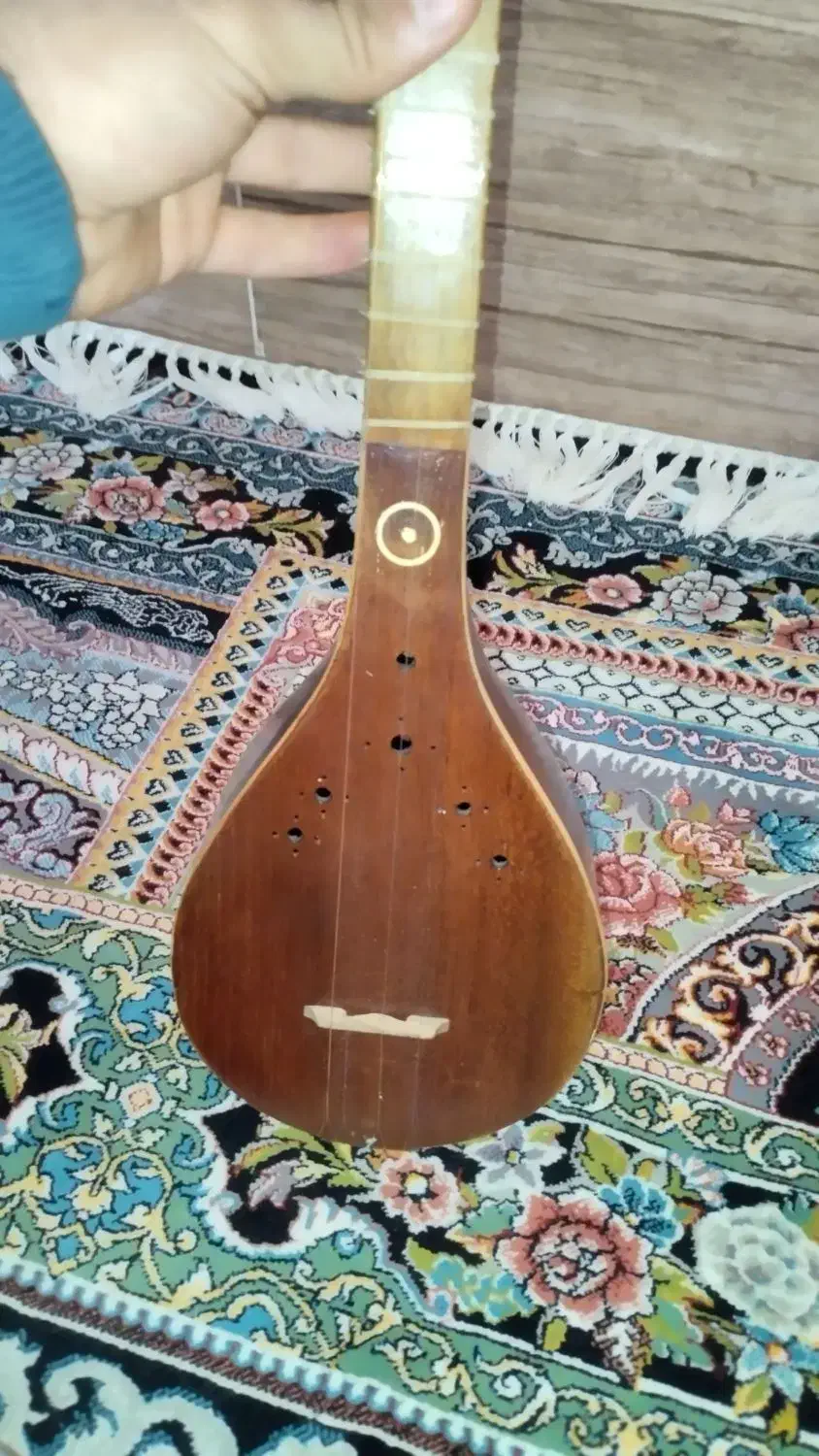 سه تار مکتب|سازهای سنتی|شیراز, ده پیاله|دیوار