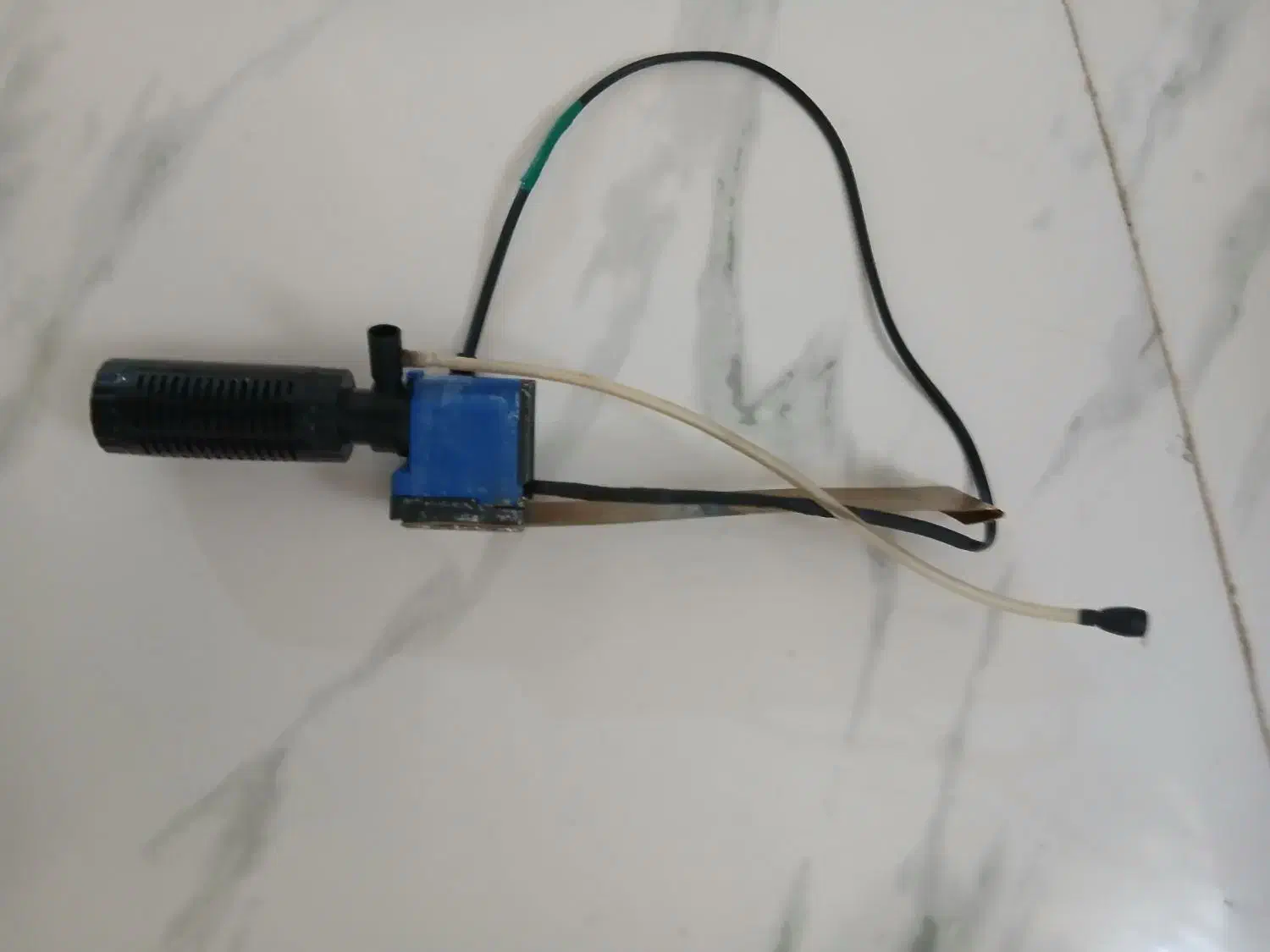 وسایل آکواریوم|ماهی|قدس, شهرقدس|دیوار