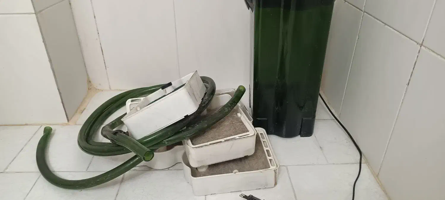 فیلتر سطلی|ماهی|گرگان, |دیوار