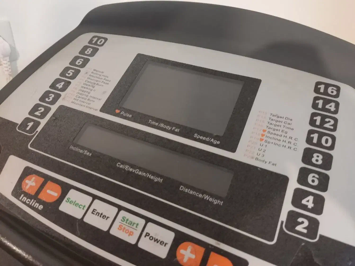 تردمیل راین مدل T1200|تجهیزات ورزشی|شاهینشهر, فردوسی|دیوار