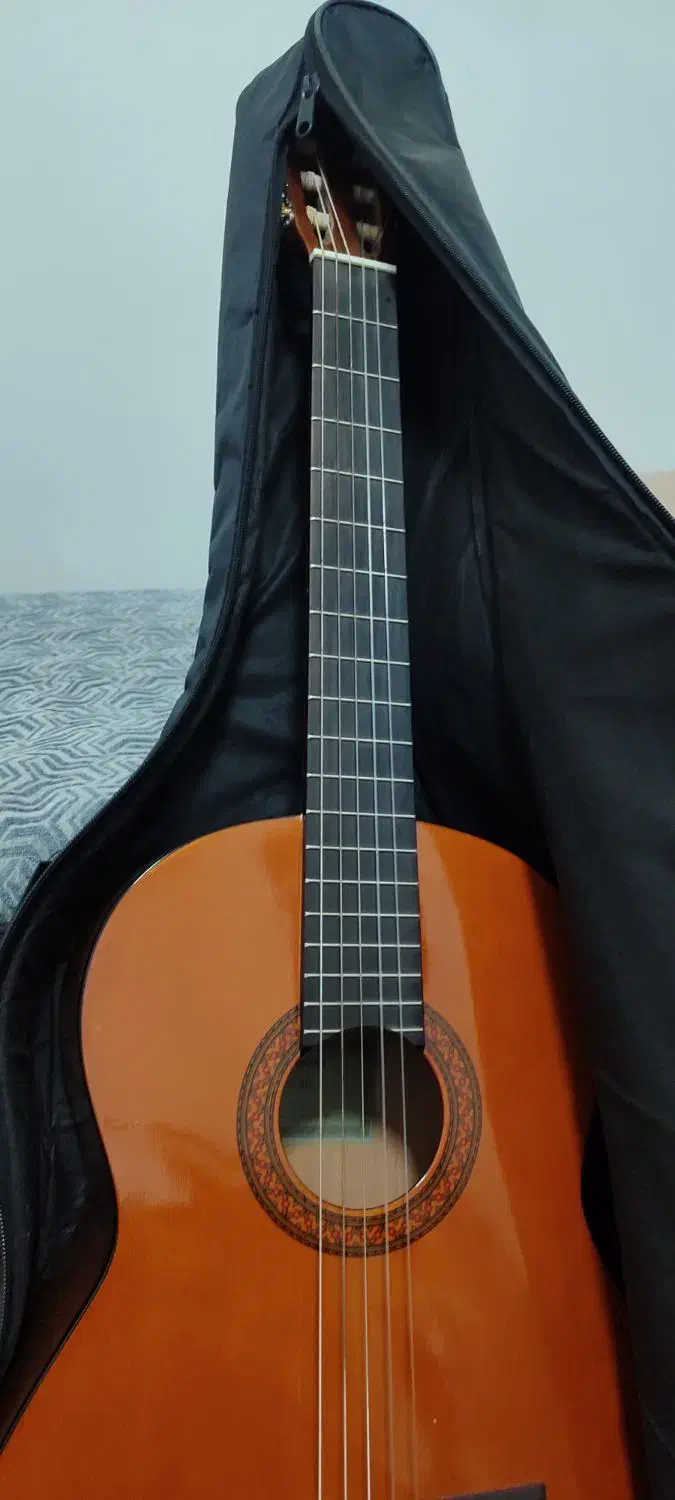 گیتار یاماها c40 در حد نو|گیتار، بیس، امپلیفایر|شاهرود, |دیوار