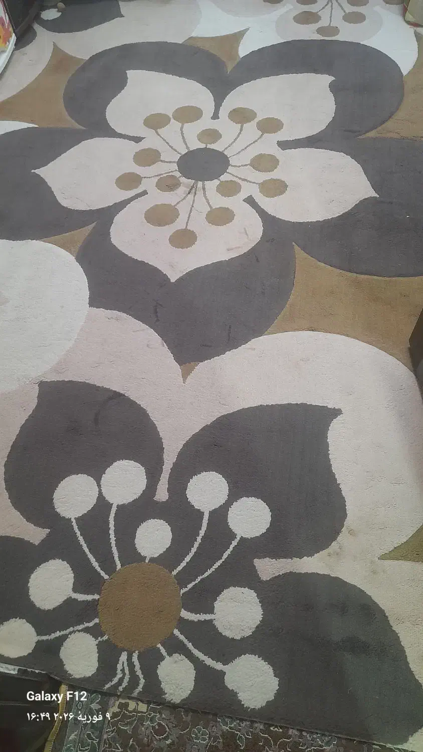 گلیم فرش شش متری|گلیم، جاجیم، گبه|سنندج, |دیوار