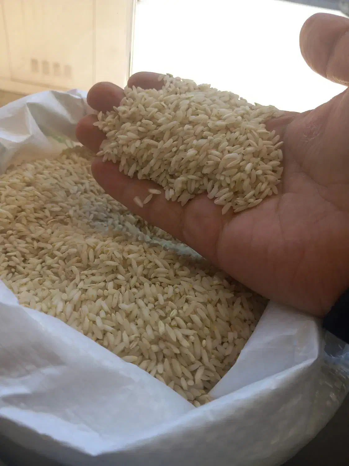 برنج عنبربو خوش اخلاق جایگزین برنج میانه|خوردنی و آشامیدنی|تبریز, |دیوار