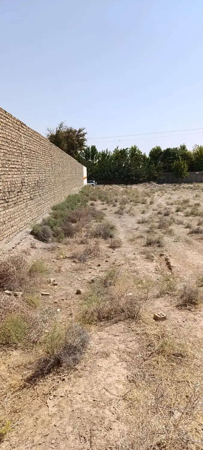 فروش ۵۸۰۰ متری در خواجه ربیع|فروش دفتر صنعتی، کشاورزی، تجاری|مشهد, خواجه ربیع|دیوار