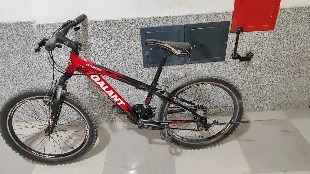 دوچرخه ۲۴|دوچرخه، اسکیت، اسکوتر|آباده, |دیوار