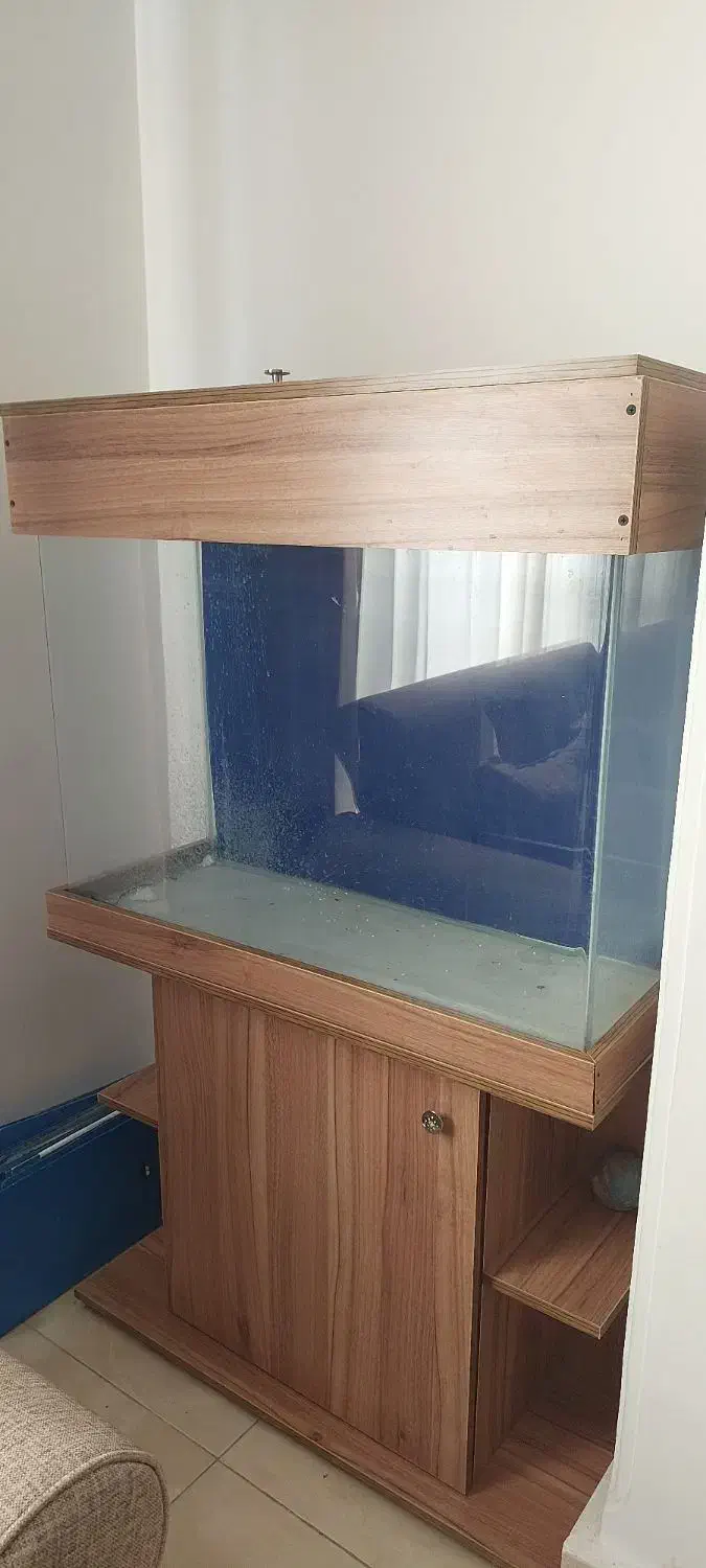 آکواریوم|لوازم جانبی حیوانات|ساوه, |دیوار